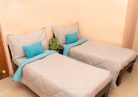 Z Express Mount View