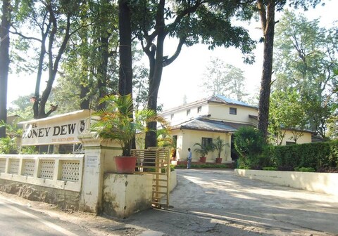 Honey Dew