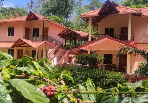 Coffee Nest Coorg | Rooms in a Homestay