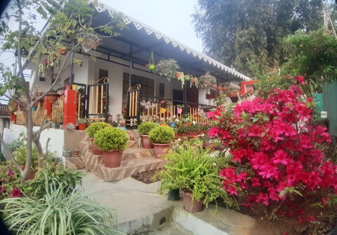 Teesta Valley Homestays