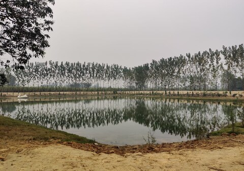 Hotel Raj Nature Park