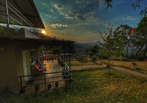 Wild Zest | Rooms & Wi-Fi