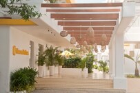 bloomSuites | Calangute , Goa bloomSuites | Calangute , Goa