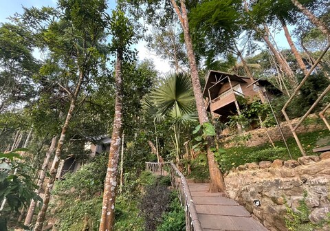 PANCHAVADI FARM RESORT THEKKADY