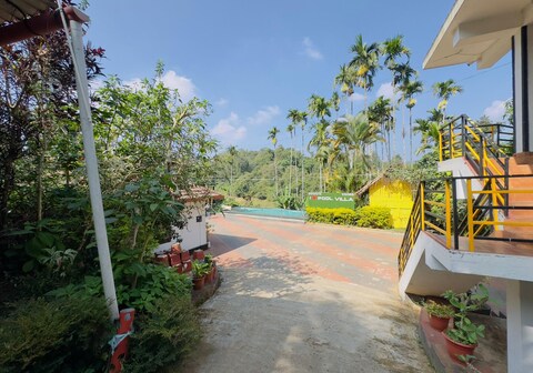 Whitelily Budget Homestay