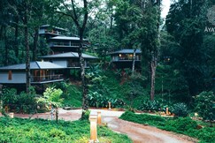 Ayatana, Coorg The Western Ghats, Coorg Ayatana, Coorg The Western Ghats, Coorg
