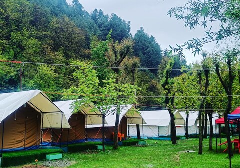 Festival Inn Camping Site - Holiday Selection