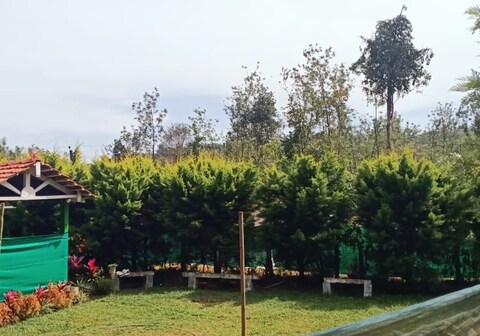 STAY IN GREEN HOMESTAY