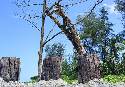 Nestle Sahyadri Beach front Homestay