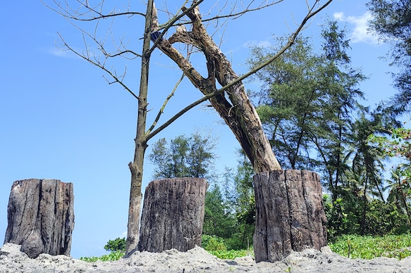 Nestle Sahyadri Beach front Homestay