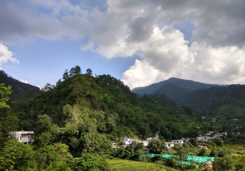 Walnut Camp and Cottage