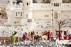 KOTA KUNJ HERITAGE, Pushkar KOTA KUNJ HERITAGE, Pushkar