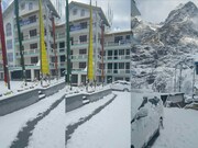 Hotel Park Palace , Lachung Hotel Park Palace , Lachung