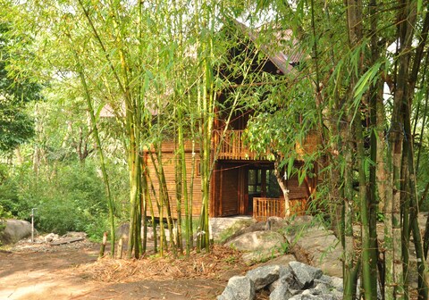 Uravu Bamboo Grove | Rooms & Caretaker