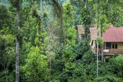 The Coffee County Resorts, Wayanad The Coffee County Resorts, Wayanad