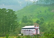 Hotel Hillview, Munnar Hotel Hillview, Munnar