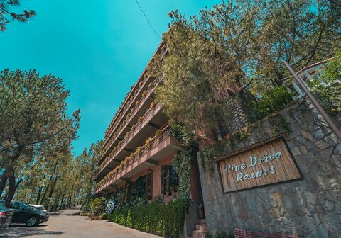 Pine Drive Resort