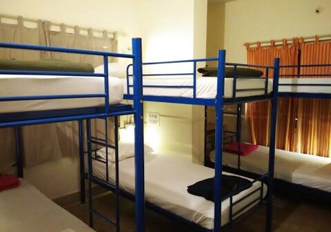 Business Deluxe Dormitory