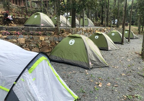 WT Puliyur Yercaud Campsite