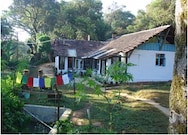 GOLDEN MIST PLANTATION AND RESORT, Coorg GOLDEN MIST PLANTATION AND RESORT, Coorg