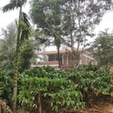Chirpy Blooms Homestay, Coorg Chirpy Blooms Homestay, Coorg