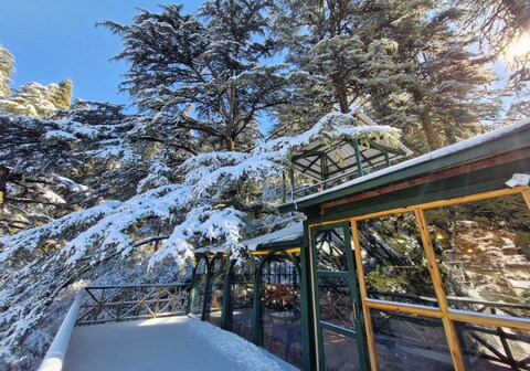 Light of Landour