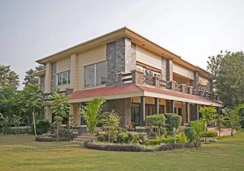 Golden Turtle Farm By Aamod