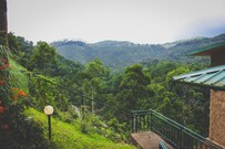 T Dew, Thekkady T Dew, Thekkady