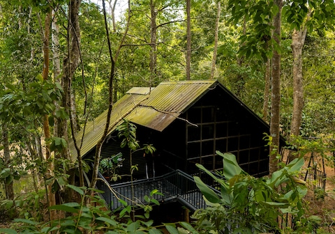 Ranches Jungle Beats Resorts