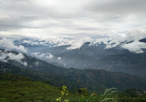 The Mukhian Homestay