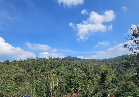 Vintara homestay Coorg