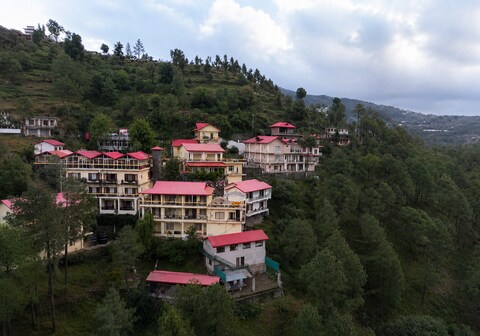 Maple Resort Chail