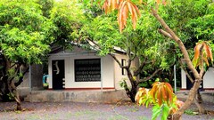 THE WILDs VILLA , Sasan Gir THE WILDs VILLA , Sasan Gir