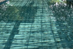 The Royal Farm, Sohna The Royal Farm, Sohna