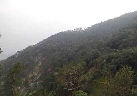Fogg Valley Dalhousie