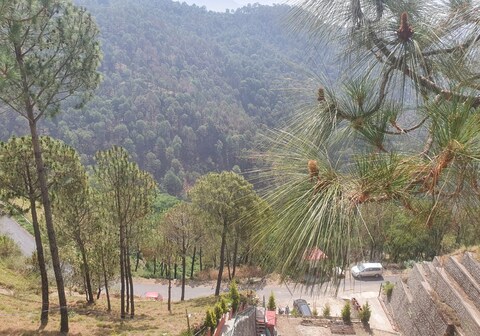The Popping Pines Cottages Kasauli