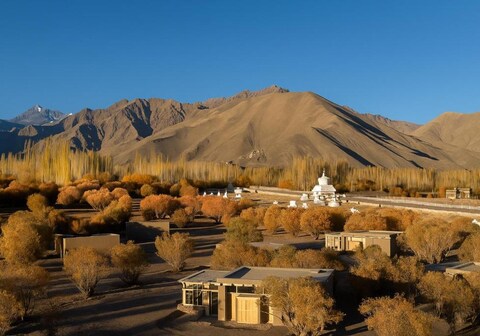 The Postcard in the Himalayan Willows , Stok, Leh