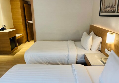 Maple Tree | Lucknow