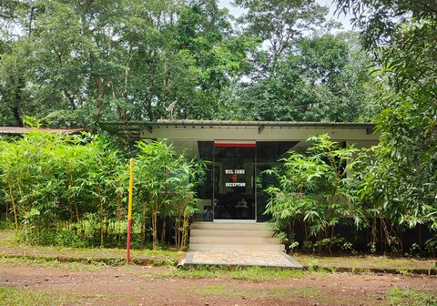 Tree Paradise Resort