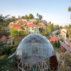 Mint Tarika Resort, Chail Mint Tarika Resort, Chail