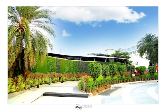 Mirasol Resort