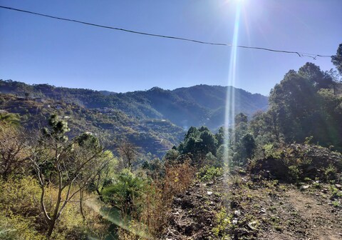 Kasauli Jashan family Home stay