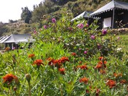 Deja Vu Camps & Resort, Kanatal Deja Vu Camps & Resort, Kanatal