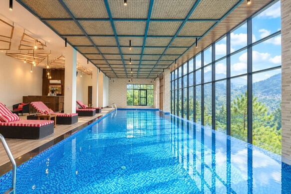 Jungle Lodge Resort & Spa