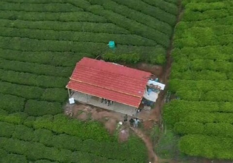 Wild and Free Farm Stay