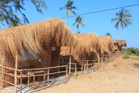 PLANET THE HIDDEN WORLD, Goa PLANET THE HIDDEN WORLD, Goa