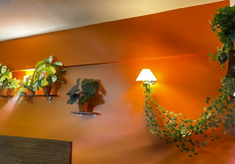 Sunset Peaks : A Romantic BoHo Studio