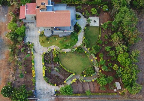 The Palm Tree By Grape County