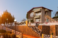 Mint Tarika Resort, Chail Mint Tarika Resort, Chail