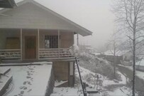 Be Yul Alpine Resort, Lachung Be Yul Alpine Resort, Lachung